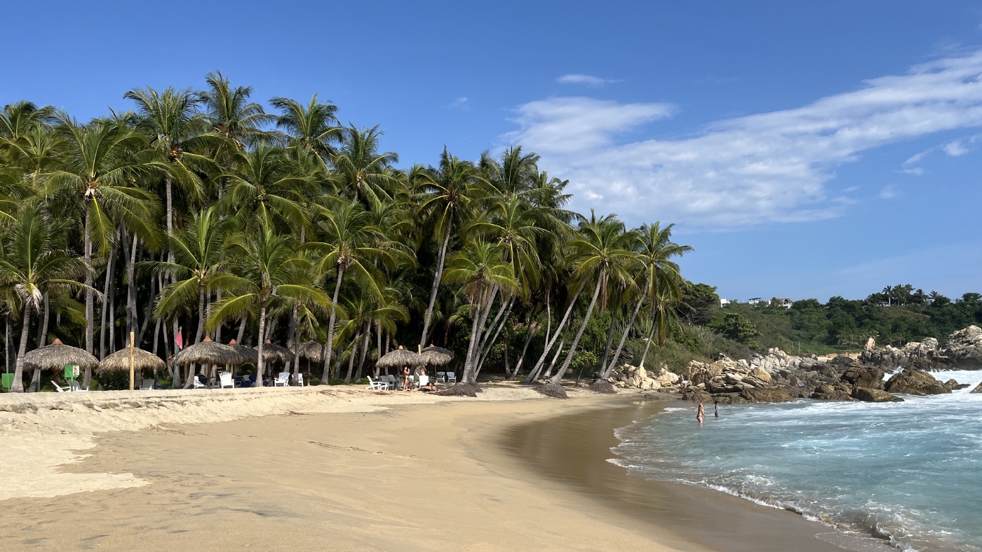 Meeting Dolphins and Turtles - Puerto Escondido