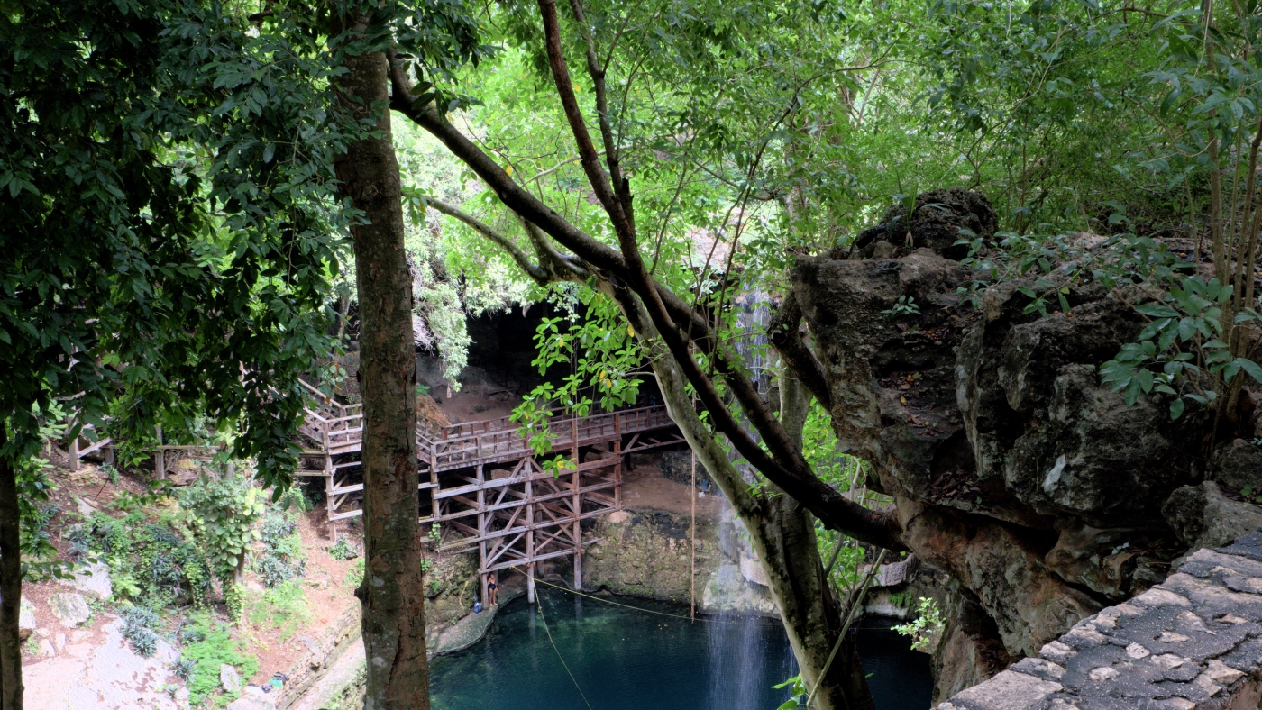 Swimming in Cenotes and Getting to Know Another Avocado Species